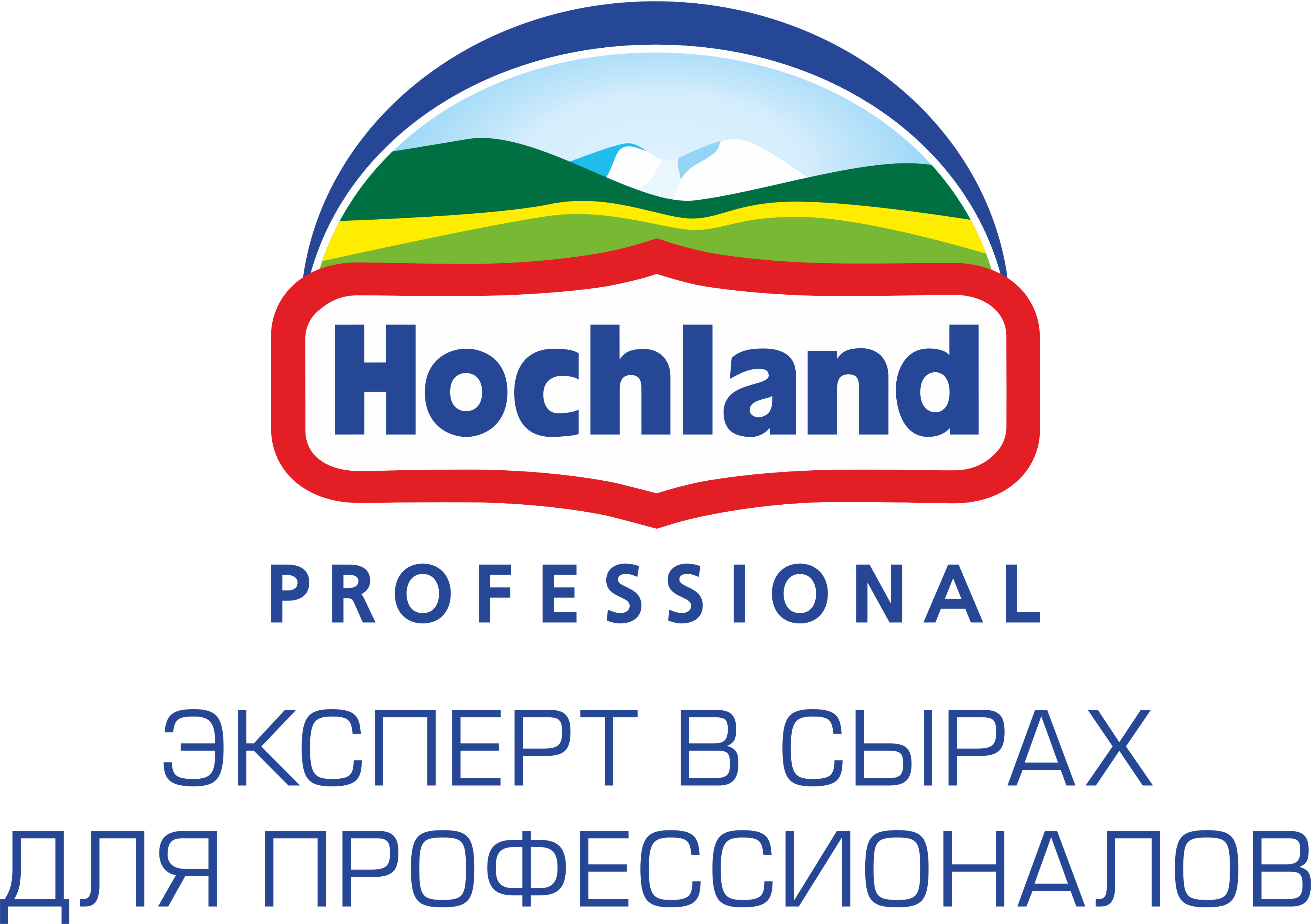 HOCHLAND PROFESSIONAL